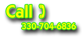 Call Gifted Dogs 330-704-6836