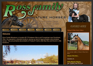 Web Design Studio - Be Envied